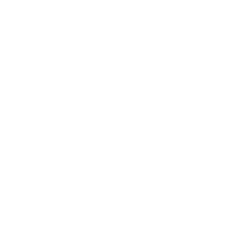 MNH TECHNOLOGIE LG BL logo